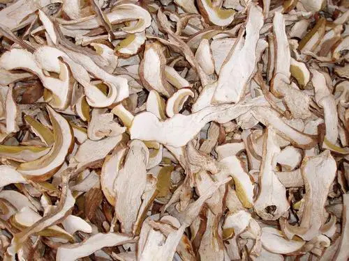 DETAN export high quality dried porcini mushrooms for sale