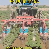 Cultivateurs agricoles pour l'agriculture, désherbeur inter-rangs pour le maïs, désherbeur agricole