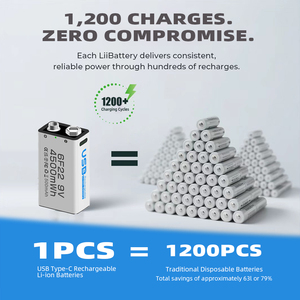 Batterie lithium-ion rechargeable USB CITICITY 4500mAh 9V C901, 1200+ cycles avec câble de charge USB-A et USB-C pour usage domestique - Product Image 6