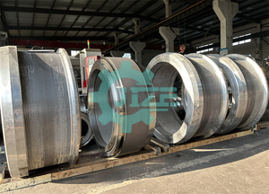 JZ 304 SS Giuliani/Giuliani, maquinaria de alimentación de GH3-545.210, anillo de pellets, fabricante de matriz de máquina de pellets Giuliani - Product Image 4