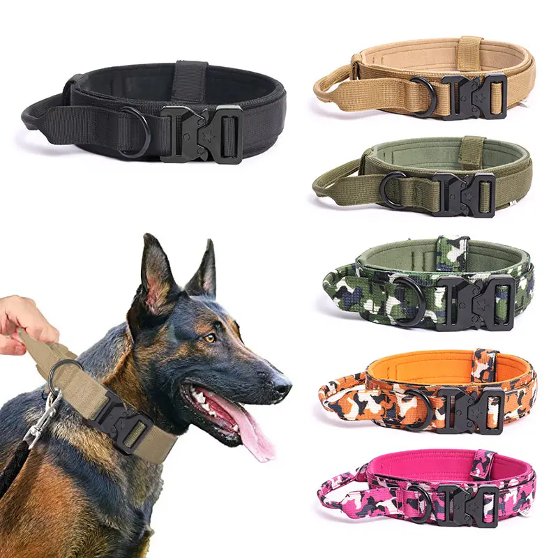 Custom Patches Training Adjustable Nylon Dog Collar with Handle Heavy Duty Metal Buckle Dog Collars
