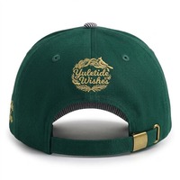 Casquettes personnalisées de marque, prix d'usine, vente en gros, casquette bicolore en coton, broderie, casquette à fermeture à pression, casquette de baseball