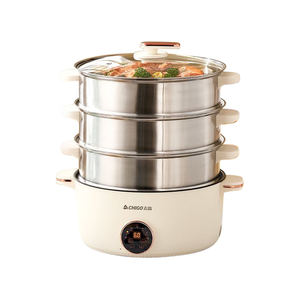 Pentola a vapore elettrica professionale multistrato in acciaio inossidabile acciaio inossidabile elettrico trave per uso domestico - Product Image 6