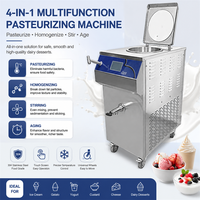 Pasteurisateur et homogénéisateur de lait en gros d'usine, professionnel, portable, 32L, écran tactile, machine de pasteurisation pour gelato