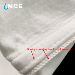 Sac filtrant compatible avec les piscines Desjoyaux, 15 microns - Product Image 2