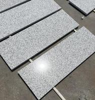 Granit gris clair moderne poli, affûté, flammé et vieilli pour l'intérieur et l'extérieur des villas, escaliers, comptoirs de cuisine, salles à manger et salons