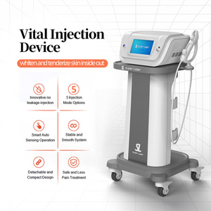 Máy Tính Để Bàn Tự Động Mesotherapy Súng Cho Khuôn Mặt Cơ Thể Trẻ Hóa Da Âm Đạo Thắt Chặt Nếp Nhăn Tiêm Chuyên Nghiệp Salon Spa - Product Image 3