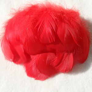 100 unids/bolsa al por mayor a granel barato Natural colorido carnaval plumas decorativas para manualidades sombreros vestido atrapasueños - Product Image 4