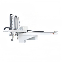 Indonésie Malaisie Service d'installation à l'étranger IML Robot Arm Machine de moulage par injection Manipulateur Robot Arm