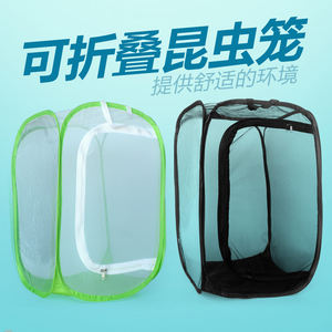 <span class=keywords><strong>Cage</strong></span> pliable en forme d'insecte, dispositif Portable avec maille, de Terrarium, papillon, abri domestique, nouveau, 2020 - Product Image 6