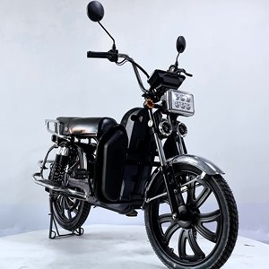 Vélo électrique domestique de 20 pouces, 800 W, batterie au lithium 60 V, moto - Product Image 1