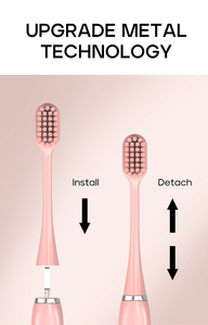Brosse à dents électrique sonique Seago OEM, économique, mince, fonctionnant sur piles, étanche IPX7, avec couleur élégante pour adultes. - Product Image 3