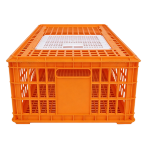 Caisse de manutention industrielle pour volailles, construction robuste pour un empilage sécurisé lors du transport des oiseaux - Product Image 2