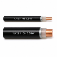 Câble d'alimentation YJV22 1*16mm2 à conducteur en cuivre, isolation XLPE, blindage en ruban d'acier, gaine en PVC, 0.6/1kV, prix usine