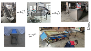 Máquina Deshuesadora de Aceitunas Comercial de Alta Demanda, Fabricada en China - Product Image 3