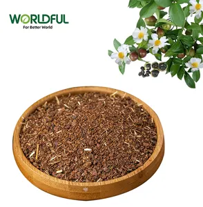 Semitree — graine de thé, repas 100% naturel avec haute teneur en aliments organiques et divers aliments