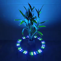 Palmier Anneau Lumière DMX512 LED Jardin Décoratif Extérieur Pelouse Lumières Étanche Câlin Arbre Paysage Lampe