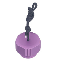 Capuchon anti-poussière pour régulateur de plongée sous-marine, en alliage d'aluminium fileté, pour première étape DIN, capuchon de protection anti-poussière pour valve de bouteille de plongée, violet