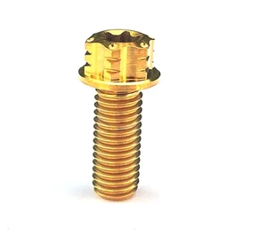 Nhà Máy Bán Buôn Xe Máy Sửa Đổi Vít Gr5 Titan Hex Mặt Bích Bolt Bởi Yph Nhà Máy Bán Hàng Trực Tiếp M10 Ốc Vít - Product Image 6