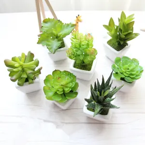 Groothandel Nieuwe Design En Hoge Kwaliteit Bureau Kleine Mini Succulent Kunstmatige Plant