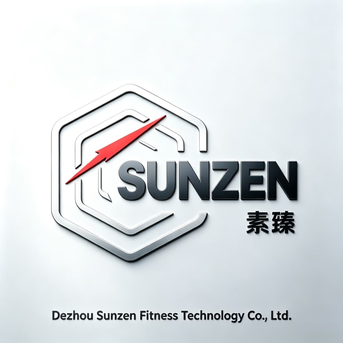 Dezhou Sunzen Fitness Technology Co., Ltd. logo