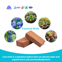 Blocs de fibres de coco 100 % naturels / Briques de tourbe de coco / Briques de fibres de coco en vente