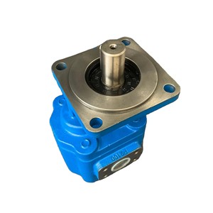 ปั๊มเกียร์ CBK1008G-B4FR เครื่องจักรก่อสร้างปั๊มไฮดรอลิกสำหรับรุ่นต่างๆ - Product Image 5