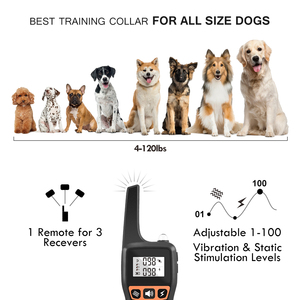 Collier anti-aboiement électronique populaire pour l'entraînement des chiens, rechargeable et étanche, pour chiens domestiques - Product Image 3