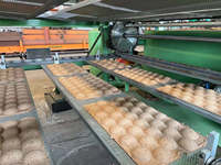 Máquina de producción de línea de bandeja de huevos, moldeado de pulpa de papel, para uso agrícola, negocios de fabricación pequeños