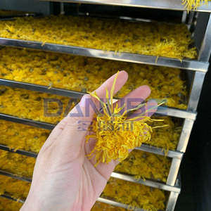 DANUBE BRAND Mango Tray Dryer Mushroom Dehydrator Vegetable Fruit Drying Equipment - Product Image 5