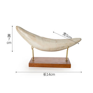 Adorno <span class=keywords><strong>de</strong></span> Resina <span class=keywords><strong>de</strong></span> Diente <span class=keywords><strong>de</strong></span> Gato con <span class=keywords><strong>Dientes</strong></span> <span class=keywords><strong>de</strong></span> Espada SKE55, Decoración Creativa para el Hogar, Artesanía Hecha a Mano para Exhibición en Estantes y Colección - Product Image 2