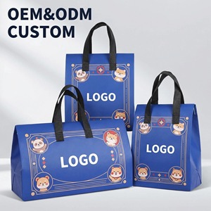 Bolsa de Comida Rápida Personalizada con Logotipo, Bolsa de Picnic Laminada para Llevar, de Tela No Tejida, con Entrega Rápida - Product Image 1