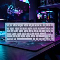 Teclado Mecánico Inalámbrico ZORNHER ZH870 White Moonlight de 88 Teclas, Retroiluminación RGB, Intercambiable en Caliente, USB-C, Programable, Tri-Modo, para Juegos y Oficina