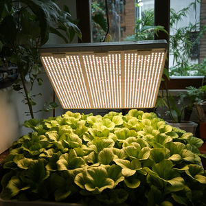 Lampes de culture hydroponique avancées <span class=keywords><strong>pour</strong></span> jardin hydroponique intérieur avec laitue et tarragon - Product Image 5