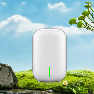 Haijieer <strong>Dessicant</strong> 500 800 Ml Basement Guangzhou Small Wood Kiln Wall Mounted Mini Professionnel Absorbent <strong>Dehumidifier</strong> Cabinet - Product Image 2