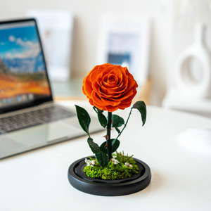 <span class=keywords><strong>Regalo</strong></span> Romantico <span class=keywords><strong>per</strong></span> <span class=keywords><strong>San</strong></span> <span class=keywords><strong>Valentino</strong></span> <span class=keywords><strong>per</strong></span> Esprimere Amore alla Tua Ragazza nel Suo Compleanno Fiore di Rosa Naturale Preservato - Product Image 4