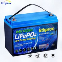 Paquete de Baterías para Montacargas, 24V 120AH, Grado Automotriz, LiFePO4, Resistente a Impactos, para Carretillas Elevadoras, CE RoHS IP67, Venta al Por Mayor, OEM, ODM