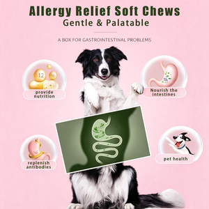 Suplementos Masticables Suaves para Perros OEM para el Alivio de Alergias, Apoyo Inmunológico y Salud de la Piel, OEM ODM - Product Image 6