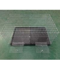 Cage à pigeons pliable en métal de style antique, écologique, avec plateau en plastique et différentes tailles, pour usage extérieur, emballée en boîte