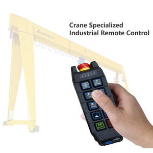 Grúa personalizada de una sola velocidad y dos velocidades, estructura de elevación para caminar, <span class=keywords><strong>control</strong></span> remoto inalámbrico dedicado - Product Image 2
