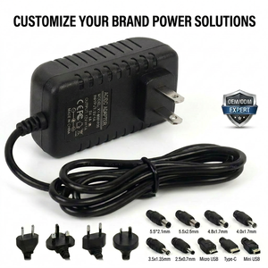 12V 1A AC Adapter Universal Switching Power Supply for <strong>Audio</strong> Equipment Smart Home Device Customizable DC Tip - Product Image 1