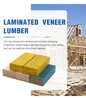 LVL Construction Coffrage Béton Forme Bois