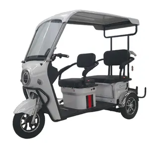 Good Look Electric Tricycles Double Seats Adults 650W 20AH/32AH sightseeing electric tricycle with luxury foldable rear seat