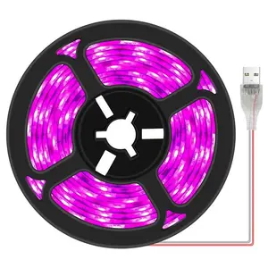 Étanche Noir Lumière USB 5V 24 Volts 254nm 360nm 365nm 455nm UVC 5630 5050 Smd WS2812 UV C Adressable Bandes Led Élèvent La Lumière