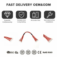 Cablaggio IoT Premium Personalizzato, Cavo Flessibile FPC, Cavo a Nastro in Nylon per Schede di Controllo Auto, Moto e Reti di Sensori