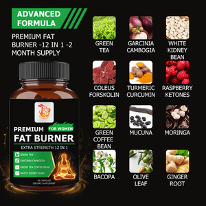 Cápsulas Quemagrasas Premium Más Vendidas con Té Verde, Granos de Café y Frijol Blanco, Favorecen el Estado de Ánimo, la Digestión y la Salud, Suplemento Dietético - Product Image 4