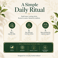 Capsules Premium Complexe de Bacopa avec Extrait de Ginkgo Biloba et de Rhodiola 100mg – Complément Herbal Quotidien pour la Mémoire et la Concentration – Vente en Gros