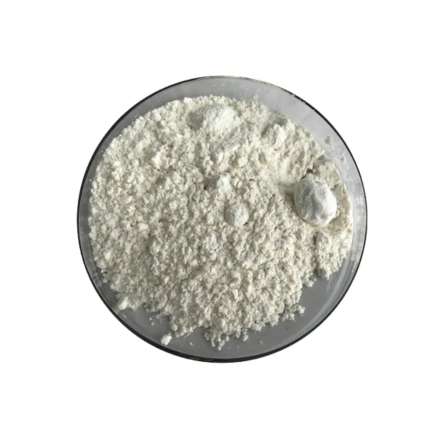 Factory Supply Bulk Garlic Extract Allicin Powder