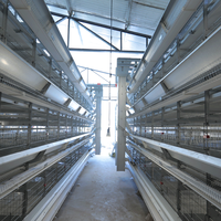 Nouveau système de cages en batterie de type H pour poulets de chair et poulettes pondeuses, poulailler automatique pour poussins d'un jour, galvanisé à chaud, 15-20