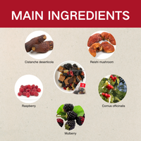Thé en sachets aromatisé aux herbes, extrait de framboise et de champignon Reishi frais, vente chaude, 20 sachets en vrac, boîte de thé santé